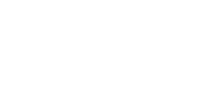 DIR-LOGO_White