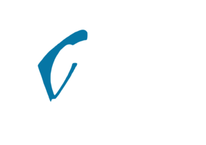 DigitalIntelligance