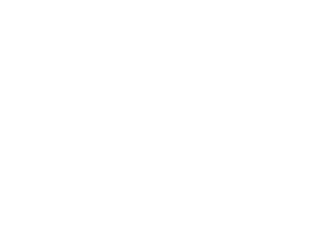 IronNet