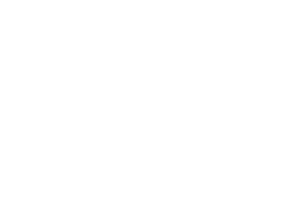 SailPoint